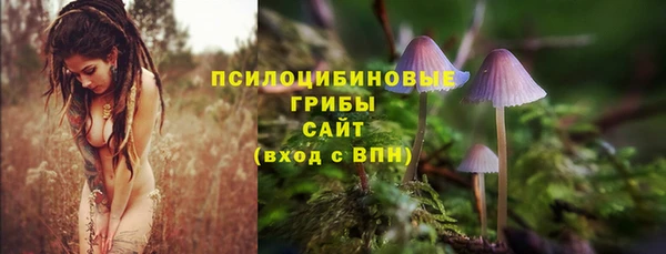 ГАЛЛЮЦИНОГЕННЫЕ ГРИБЫ Балабаново