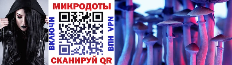 Галлюциногенные грибы Psilocybe  Лениногорск 